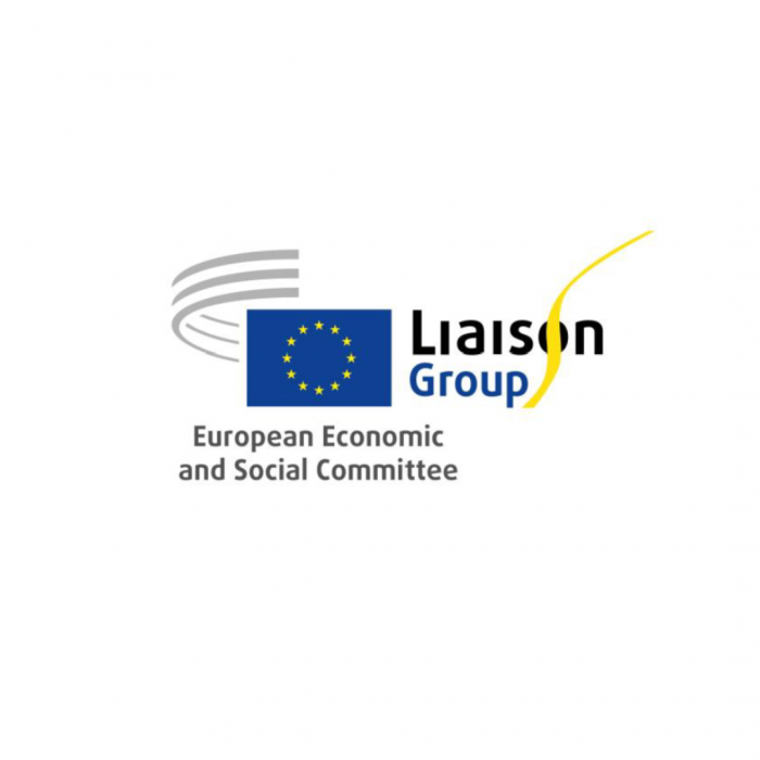 Instagram Post - Empowering LGBTI+ professionals across Europe. - 2026-07-03T105603.499